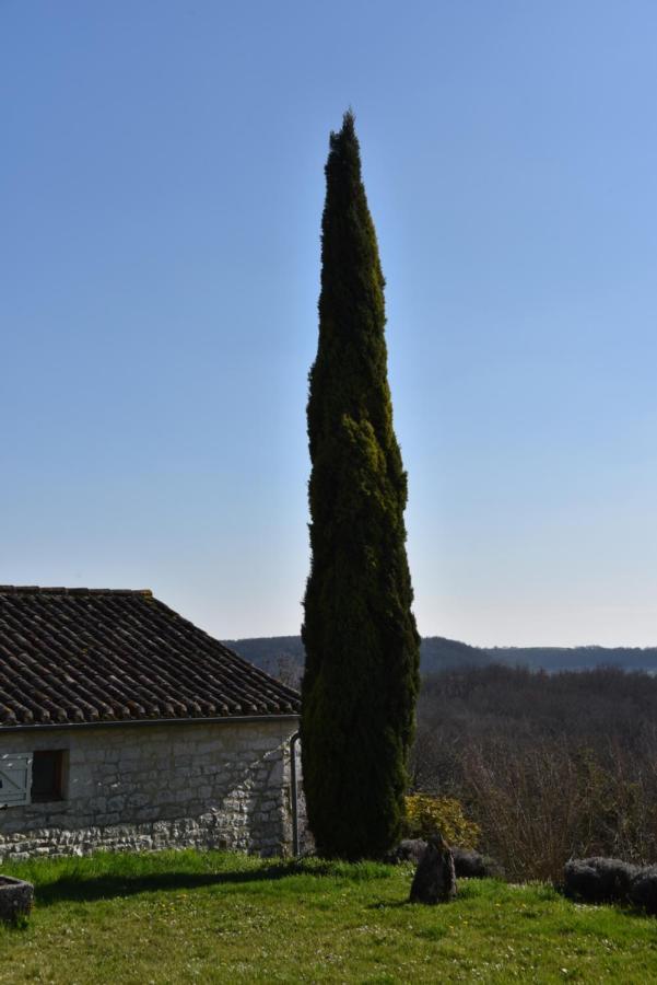 Willa Les Collines Du Quercy Blanc Castelnau-Montratier Zewnętrze zdjęcie